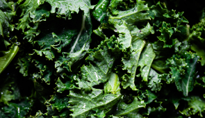 Prebiotics